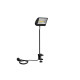 Eurolite - LED KKL-30 Floodlight 4100K black 2