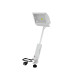 Eurolite - LED KKL-50 Floodlight 4100K white 6