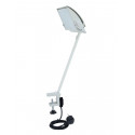 Eurolite - KKL-300 Halogen Floodlight white