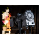 Eurolite - AKKU THA-20PC TRC Theater-Spot bk 14