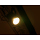 Eurolite - LED PML-80 COB RGB 80W Spot/Wash 11
