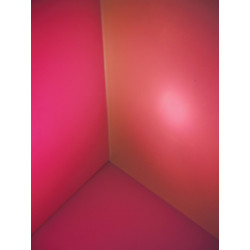 Eurolite - Dichro, red, frosted, 165x132mm 1