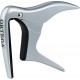Ortega - OCAPO-CR 1