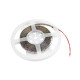 Eurolite - LED Strip 300 5m 3528 2700K 12V 5