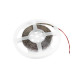 Eurolite - LED Strip 300 5m 3528 3000K 24V Constant Current 2