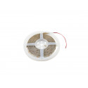 Eurolite - LED IP Strip 600 5m 2835 4000K 24V