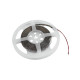 Eurolite - LED Strip 300 5m 3528 5700K 12V 5