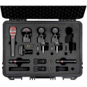 SE Electronics - V-PACK ARENA