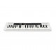 Casio - CT-S200WE CASIOTONE 1