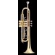 Bach - TR500 1