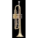 Bach - TR500
