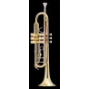 Bach - TR500 1