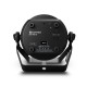 Cameo - ROOT PAR TW 7