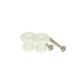 Ortola - 8656-099 1