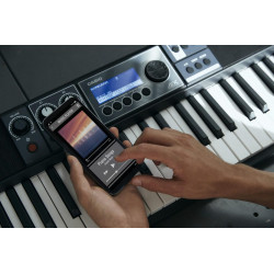 Casio - CT-S500 1