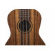 Ashton - UKE500CBW 2