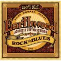 Ernieball - ERNIE BALL 2008