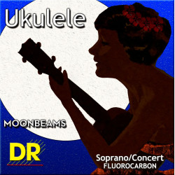 DR - UFSC UKELELE SOPRANO/CONCERT 1