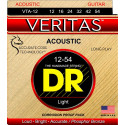 DR - VTA-12 VERITAS