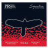 Orange - SIGNATURE 095-044 1