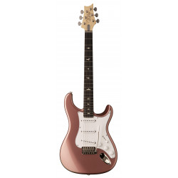 PRS GUITARS - SILVER SKY MIDNIGHT ROSE 1