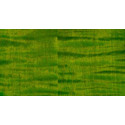 PRS GUITARS - CUSTOM 24 PIEZO ERIZA VERDE