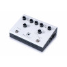 Blackstar - DEPT. 10 AMPED 1 1
