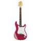 NORD - SE SILVER SKY DRAGON FRUIT 2