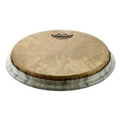 Remo - 813.619 1