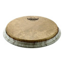 Remo - 813.619