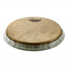 Remo - 813.619 1