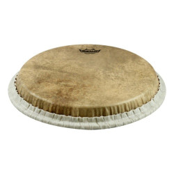 Remo - 813.628 1