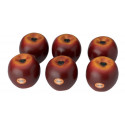 Remo - 834.302