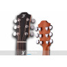 Furch - BLUE OM-CM 1