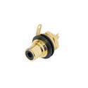 REAN - NYS367-0 NEGRO (UD)