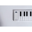CARRY ON - CARRY ON PIANO 88