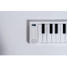 CARRY ON - CARRY ON PIANO 88 1