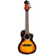 Ortega - DSSUITE-UKE 1