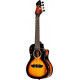 Ortega - DSSUITE-UKE 2