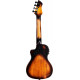Ortega - DSSUITE-UKE 3
