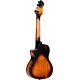 Ortega - DSSUITE-UKE 4