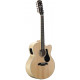 Alvarez - AJ80CE-12 1