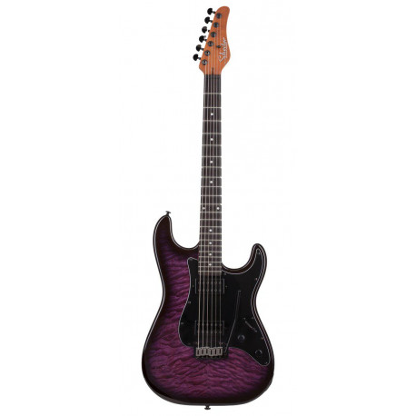 Schecter - TRAD PRO-EBONY TPB 1