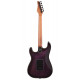 Schecter - TRAD PRO-EBONY TPB 2