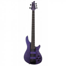 Schecter - C-5 GT