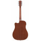 Alvarez - RD26CE 2