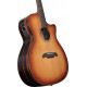 Alvarez - AEG95CESHADOWBURST 3