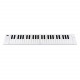 CARRY ON - CARRY-ON PIANO 49 TOUCH WHITE 5