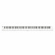 CARRY ON - CARRY ON PIANO 88 TOUCH WHITE 1