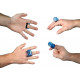 Ortega - OFS-BLS 3